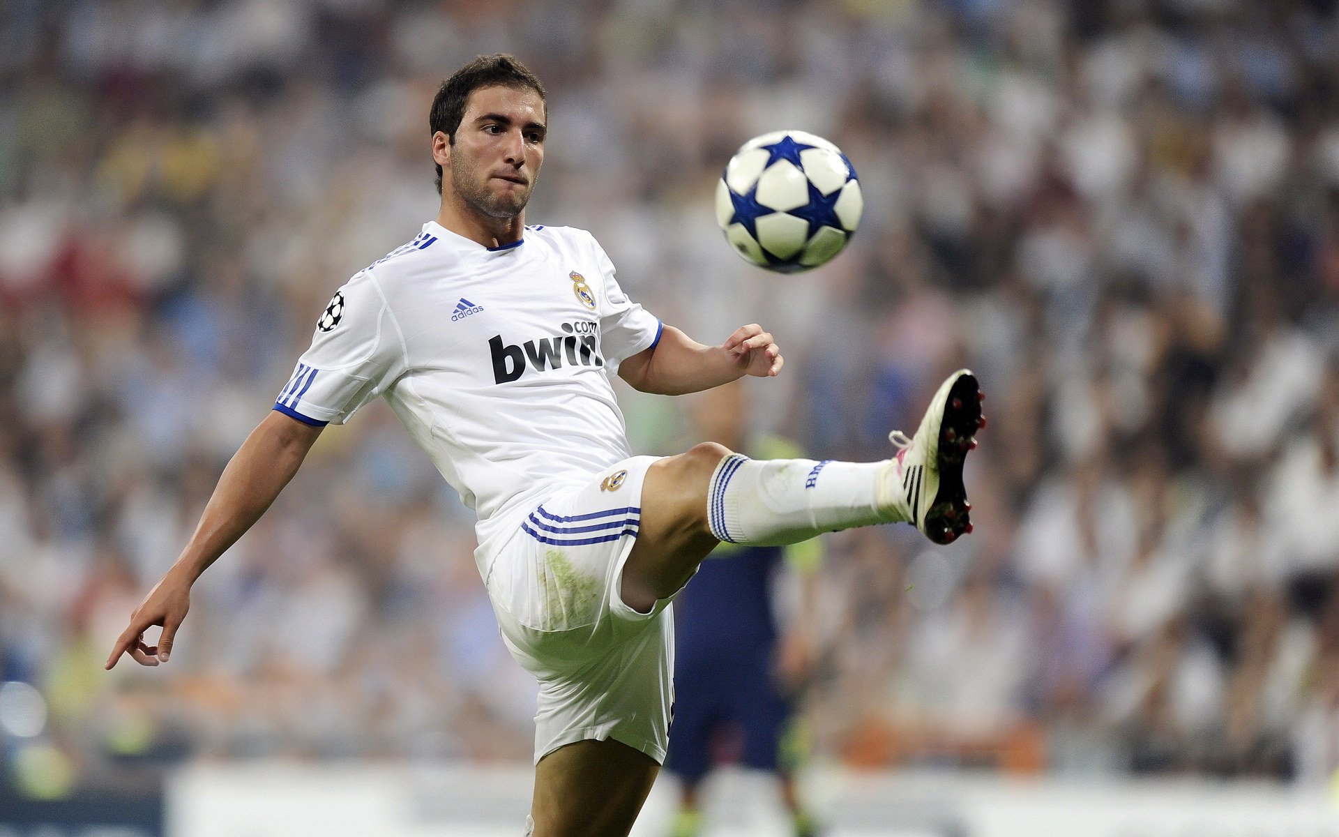 开云官网-传射与新星，一场引爆欧洲球探的青春风暴，传射与新星，一场引爆欧洲球探的青春风暴